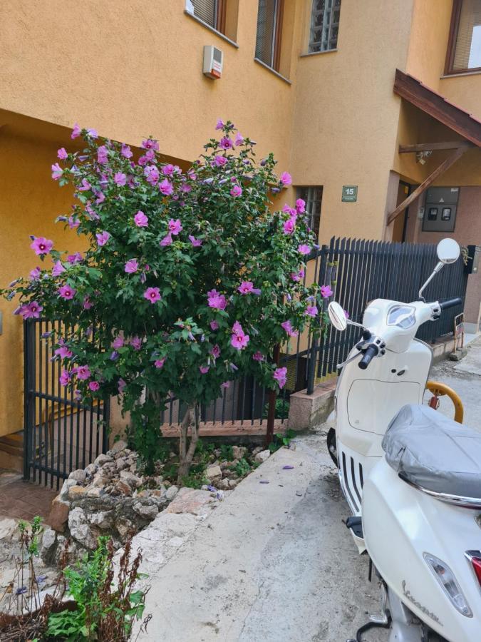 Apartman Yellow House SJJ Exterior photo